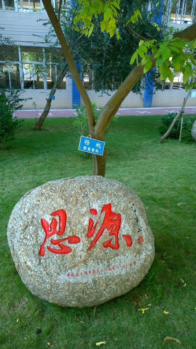 WP_20161030_09_44_49_Pro.jpg