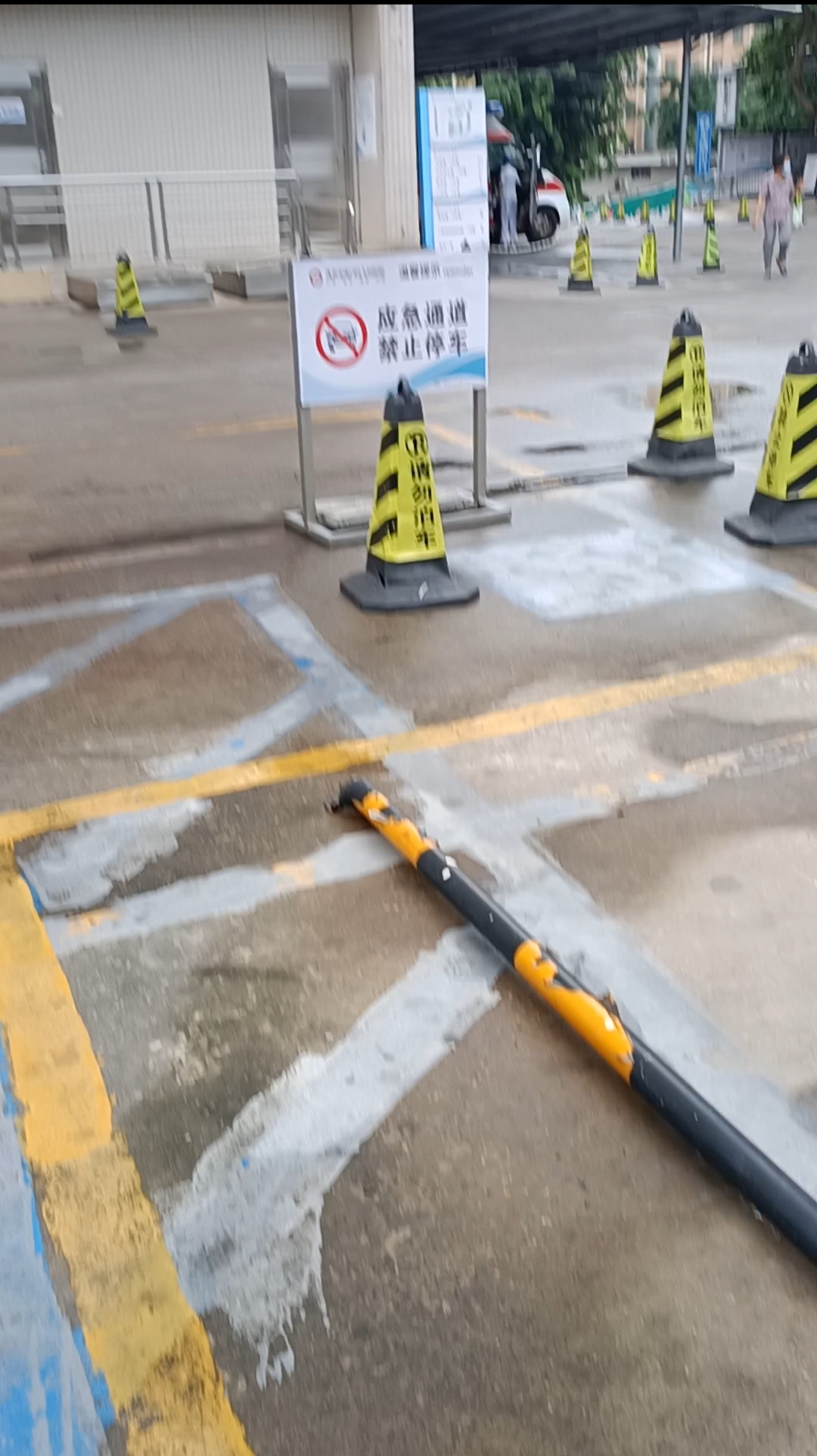 mmexport1742824598818.jpg
