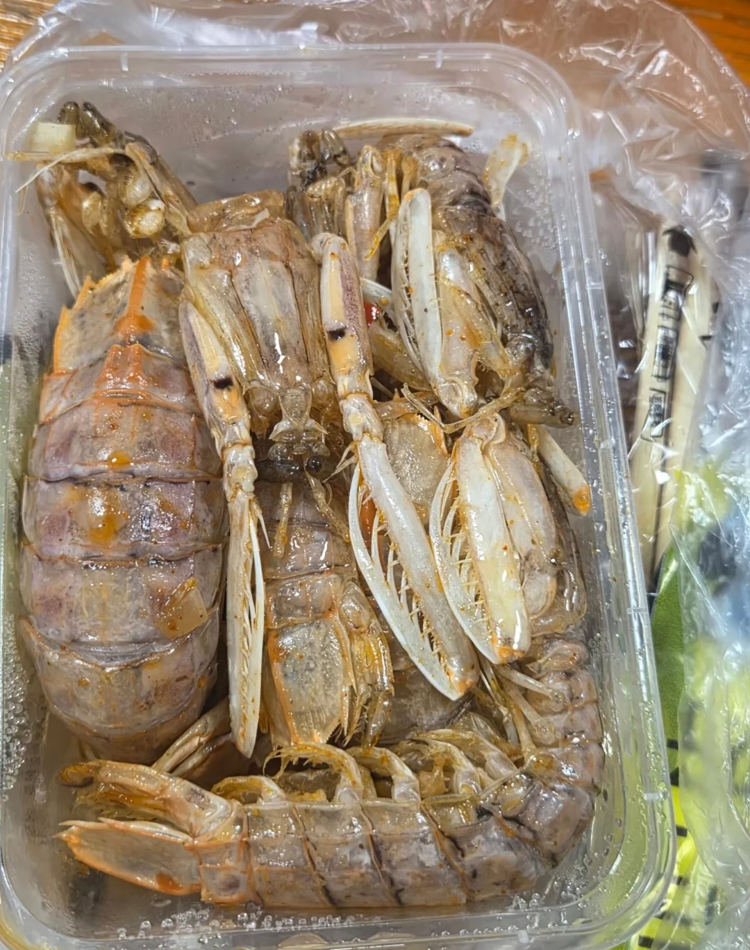 IMG_20260919_095714.webp