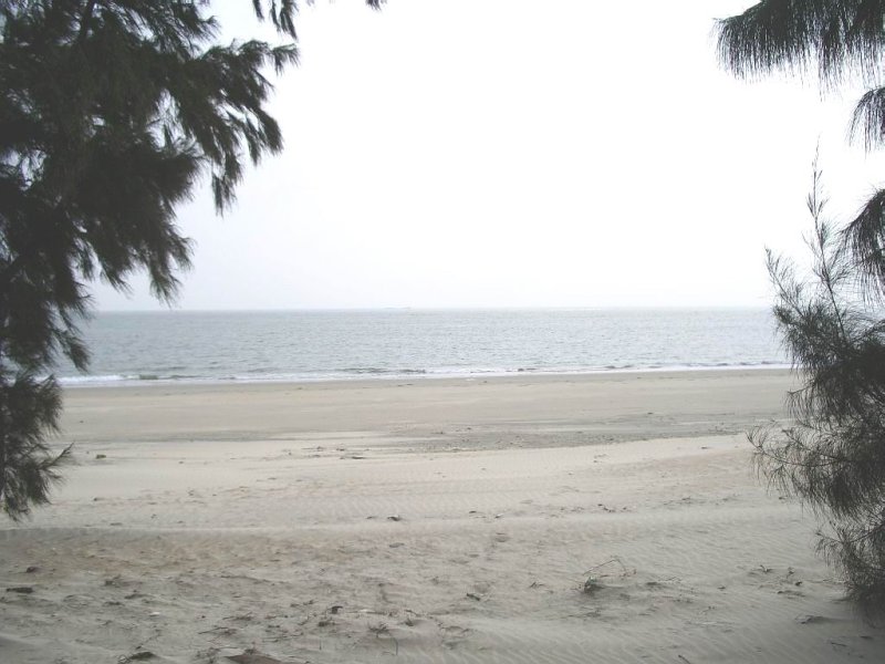 IMGP0056.JPG