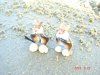 DSC00556.JPG