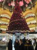 IMG_2002.JPG
