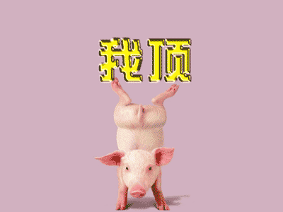 76597B5FBDE0DADACD005203C230CF89.GIF