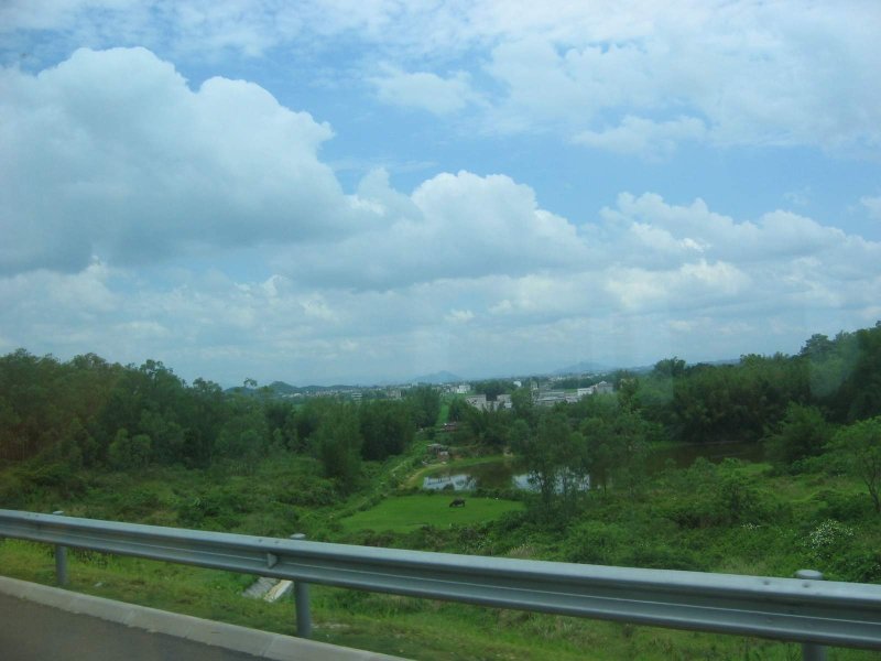 Image-124.JPG