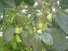 DSC03925_调整大小.JPG
