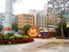 DSC05240.jpg