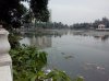 IMG_20130427_160102.jpg