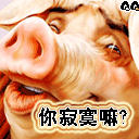 13161.gif