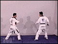 tkd1.gif