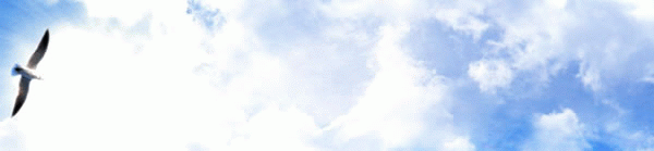 200518151623100.gif