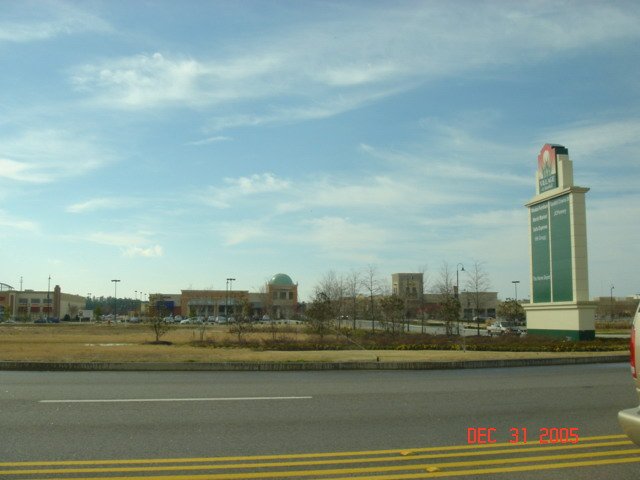 DSC00178.jpg