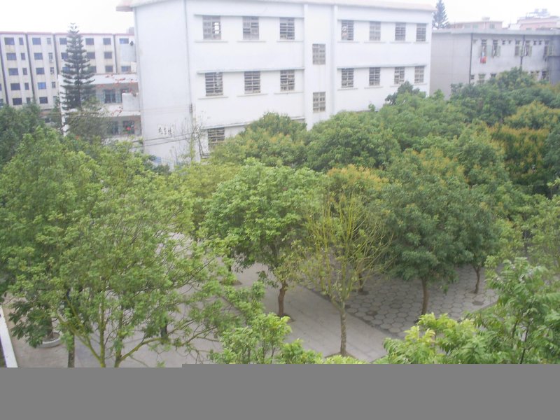 S5022055.JPG