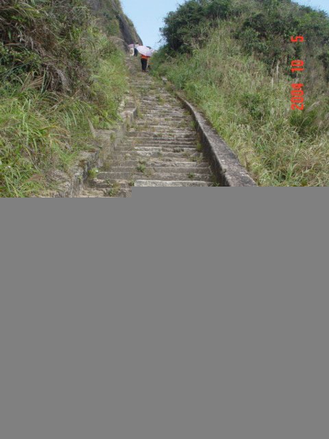 照片 500.jpg