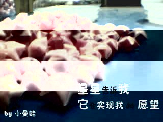 娃娃.jpg