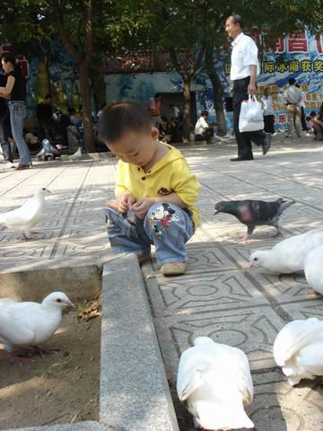04.jpg